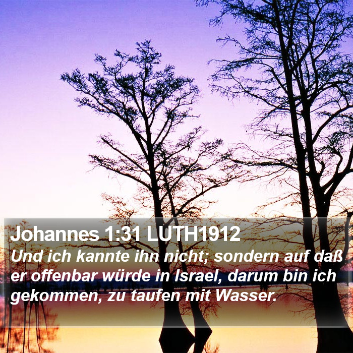 Johannes 1:31 LUTH1912 Bible Study