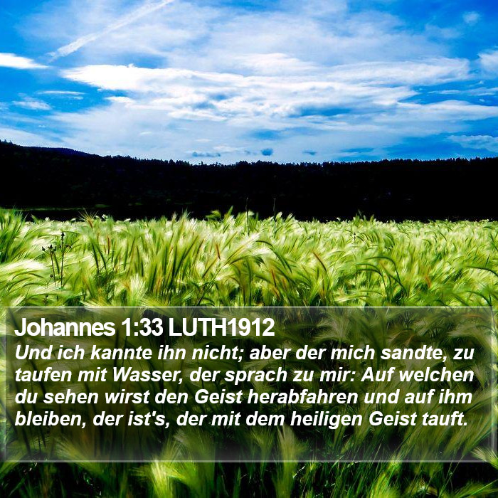 Johannes 1:33 LUTH1912 Bible Study