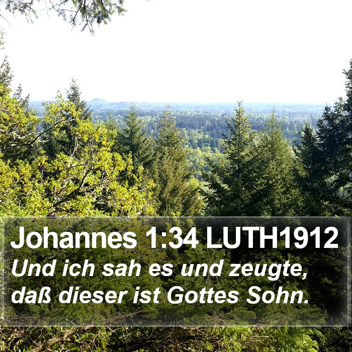 Johannes 1:34 LUTH1912 Bible Study