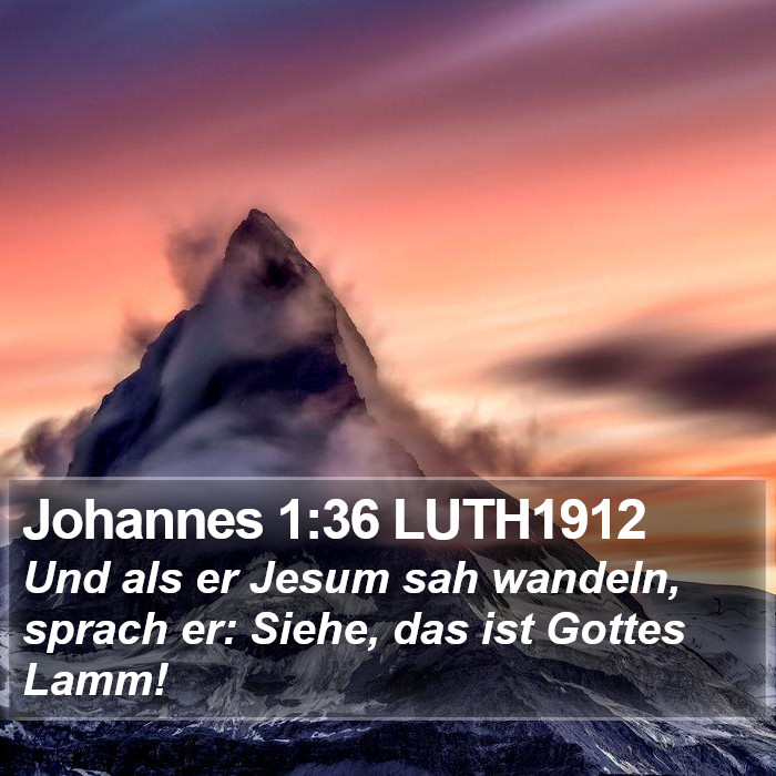 Johannes 1:36 LUTH1912 Bible Study