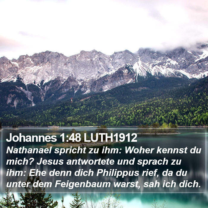 Johannes 1:48 LUTH1912 Bible Study