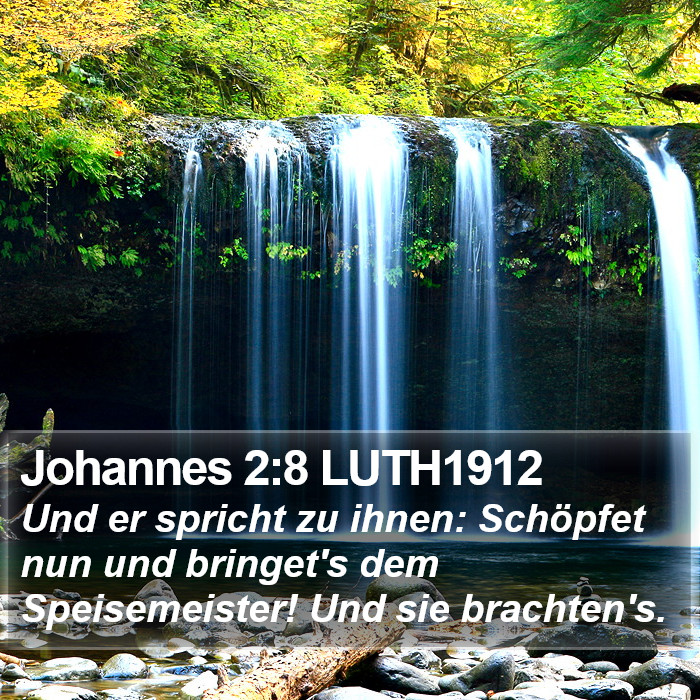 Johannes 2:8 LUTH1912 Bible Study