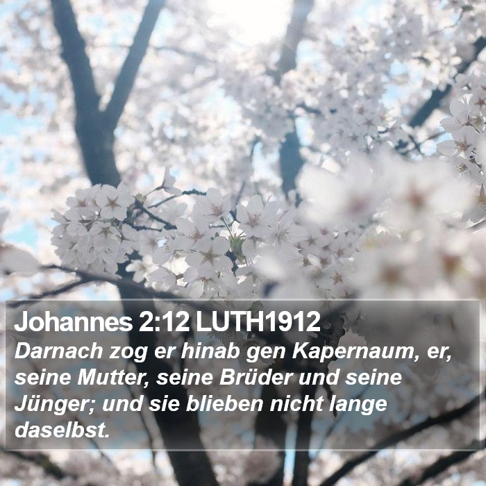 Johannes 2:12 LUTH1912 Bible Study