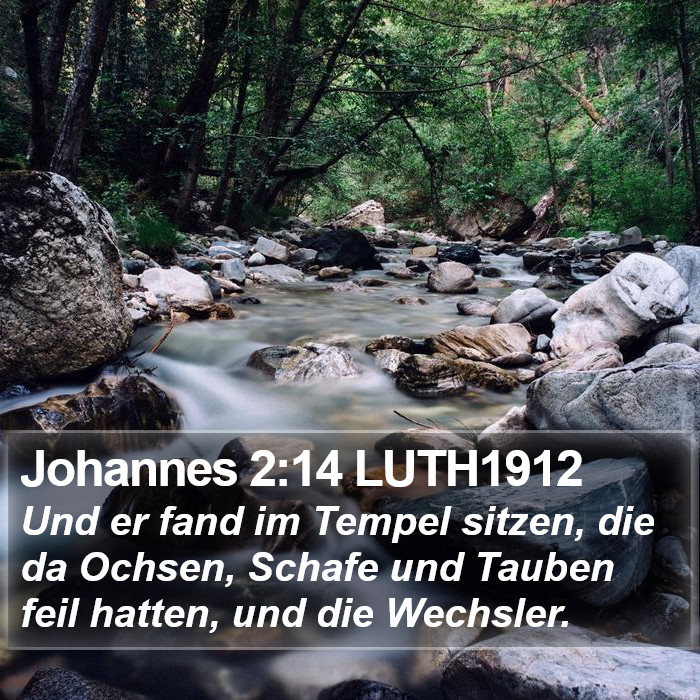 Johannes 2:14 LUTH1912 Bible Study