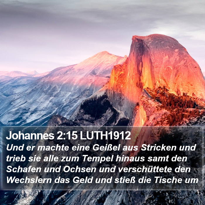 Johannes 2:15 LUTH1912 Bible Study