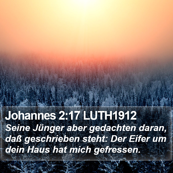 Johannes 2:17 LUTH1912 Bible Study