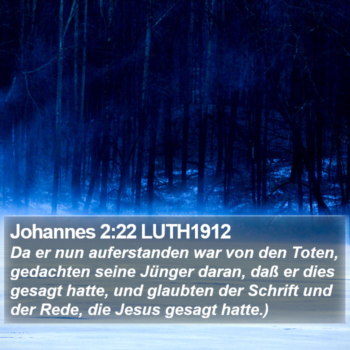 Johannes 2:22 LUTH1912 Bible Study