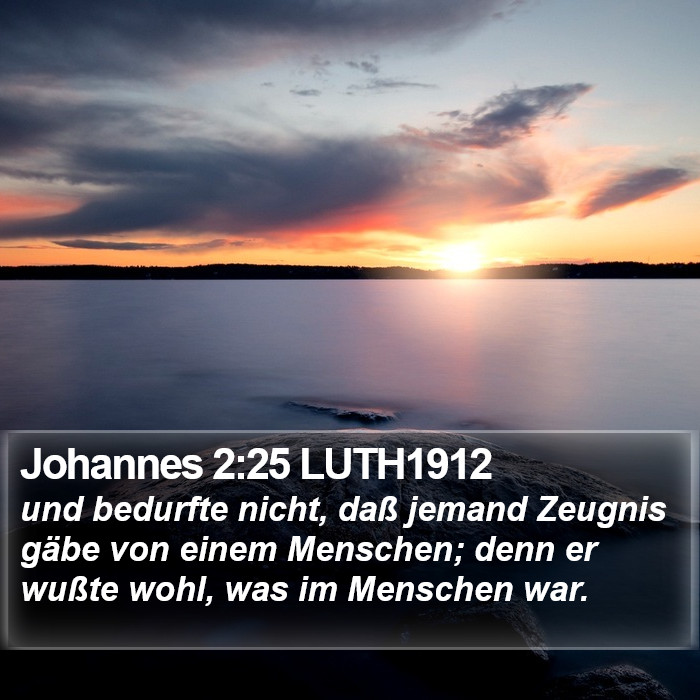 Johannes 2:25 LUTH1912 Bible Study