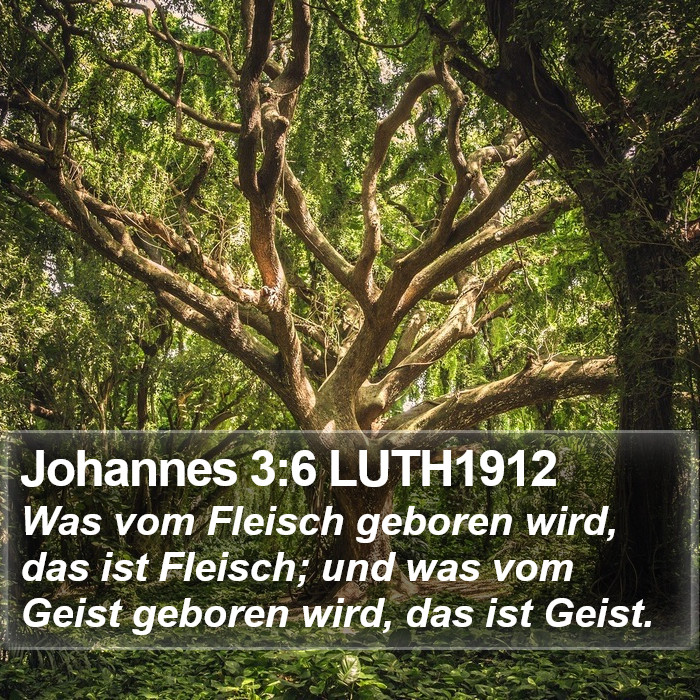 Johannes 3:6 LUTH1912 Bible Study