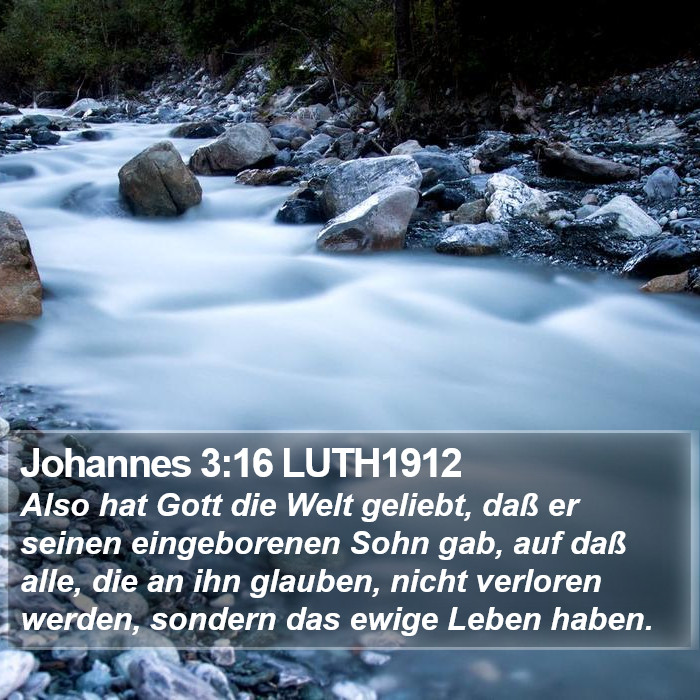 Johannes 3:16 LUTH1912 Bible Study