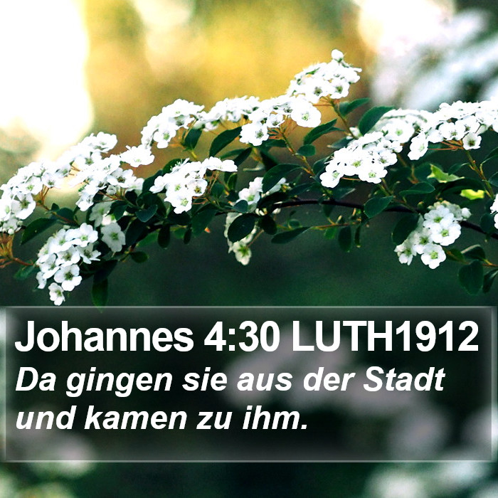 Johannes 4:30 LUTH1912 Bible Study