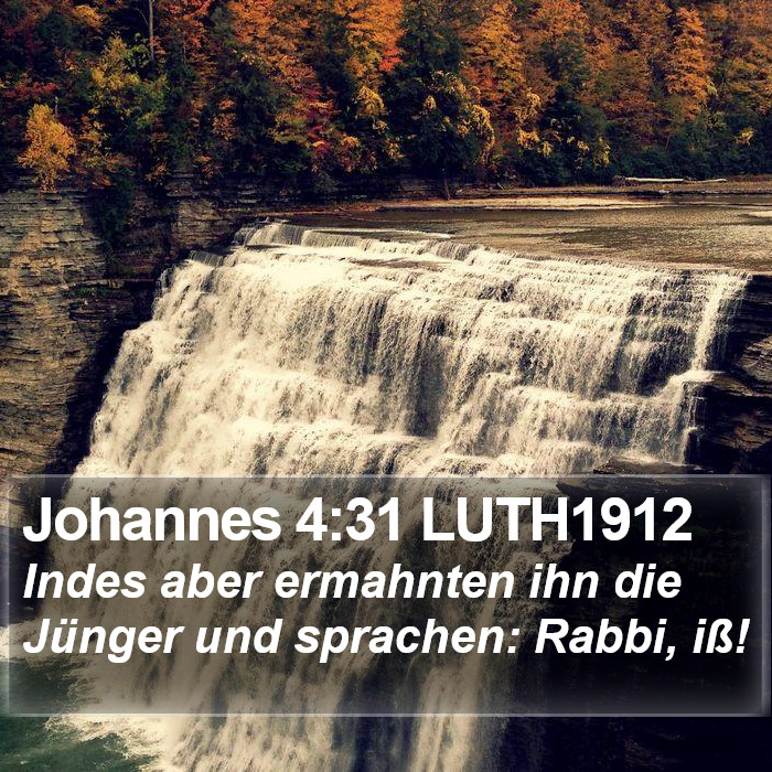 Johannes 4:31 LUTH1912 Bible Study