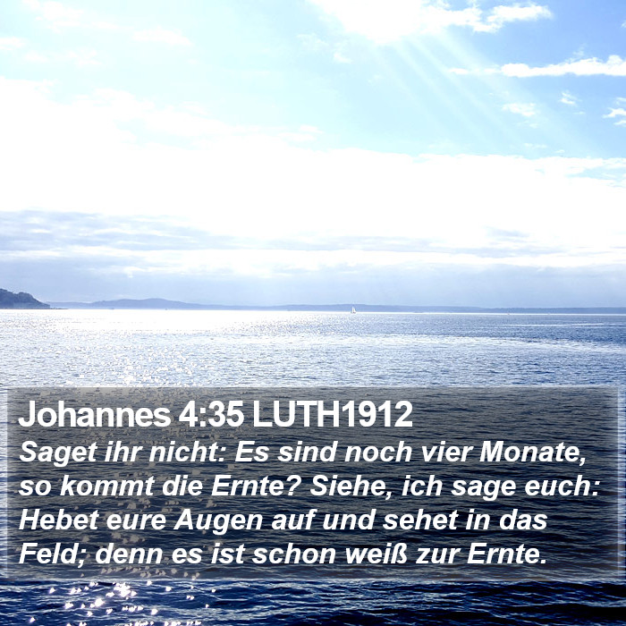 Johannes 4:35 LUTH1912 Bible Study