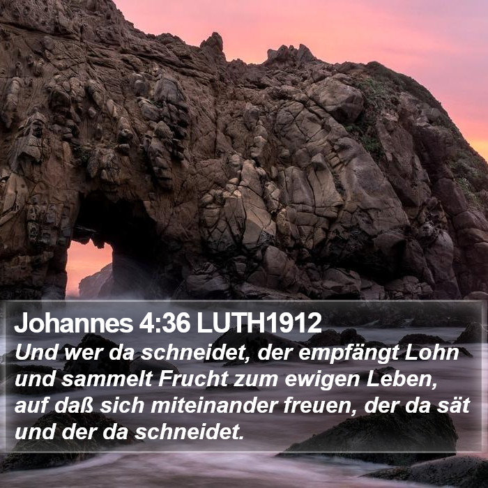 Johannes 4:36 LUTH1912 Bible Study