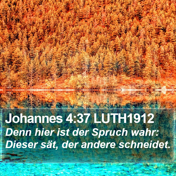 Johannes 4:37 LUTH1912 Bible Study