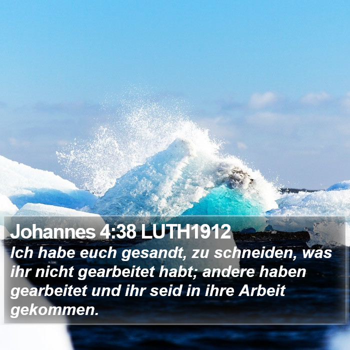 Johannes 4:38 LUTH1912 Bible Study