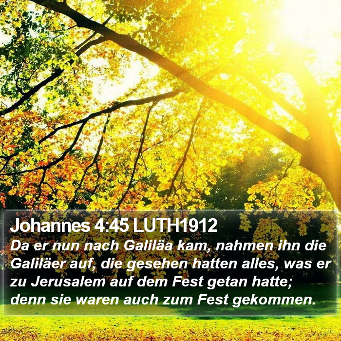 Johannes 4:45 LUTH1912 Bible Study