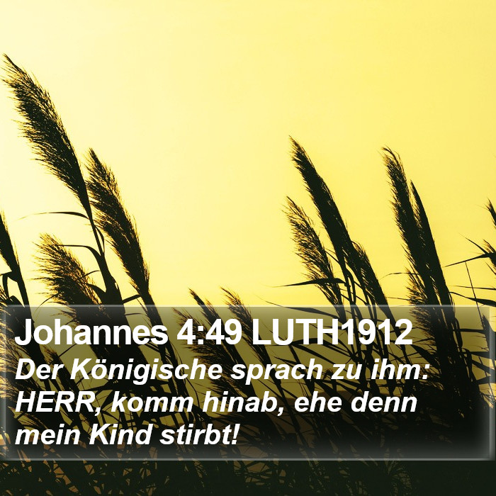 Johannes 4:49 LUTH1912 Bible Study