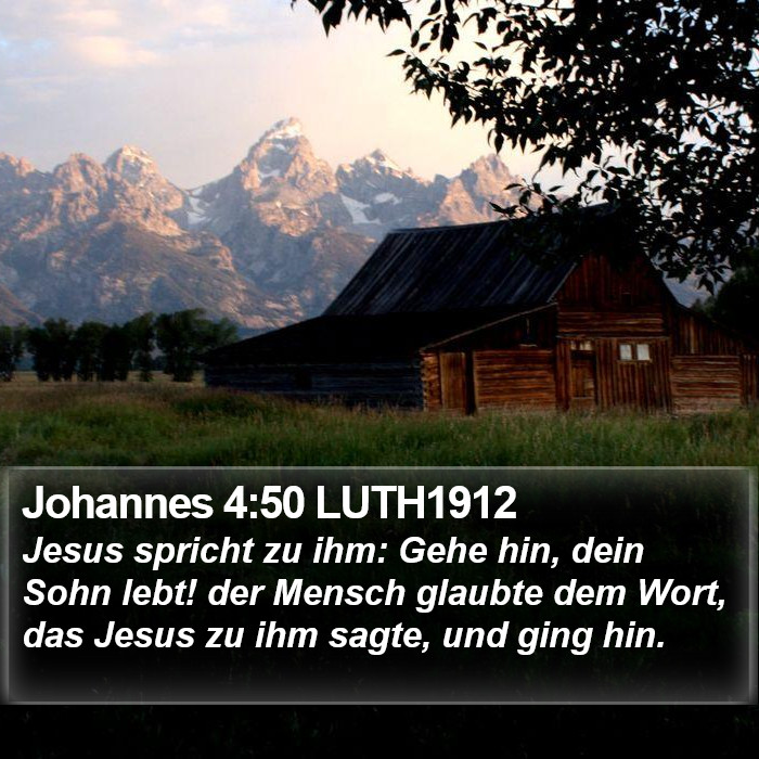 Johannes 4:50 LUTH1912 Bible Study