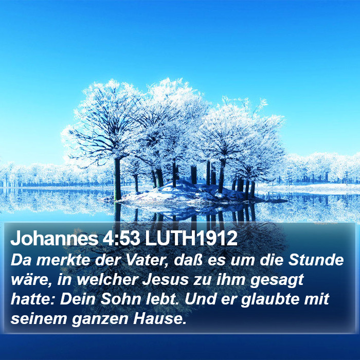 Johannes 4:53 LUTH1912 Bible Study