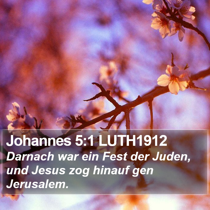 Johannes 5:1 LUTH1912 Bible Study