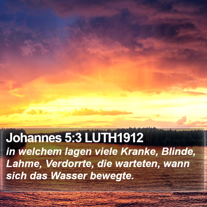 Johannes 5:3 LUTH1912 Bible Study