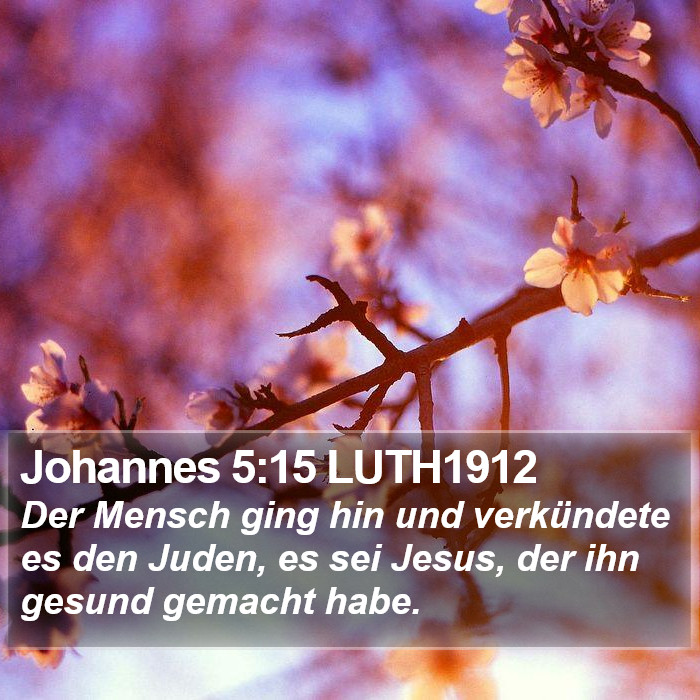 Johannes 5:15 LUTH1912 Bible Study