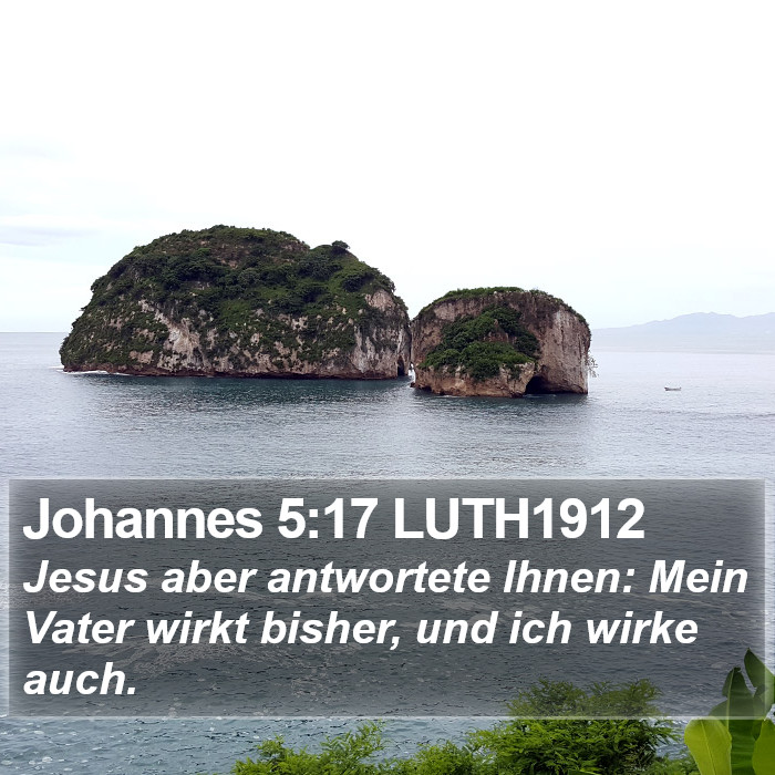 Johannes 5:17 LUTH1912 Bible Study