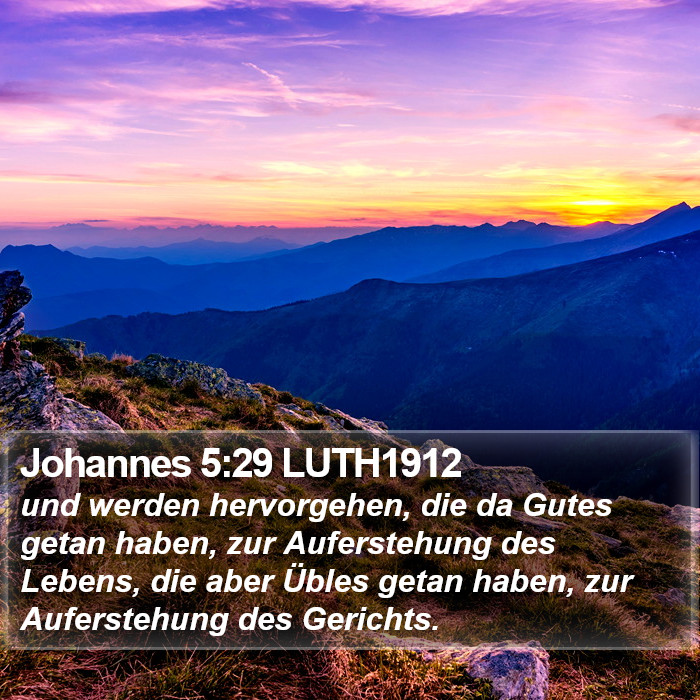 Johannes 5:29 LUTH1912 Bible Study