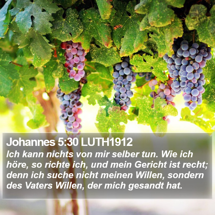 Johannes 5:30 LUTH1912 Bible Study