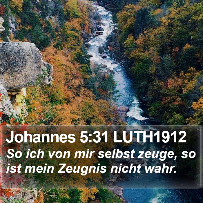 Johannes 5:31 LUTH1912 Bible Study