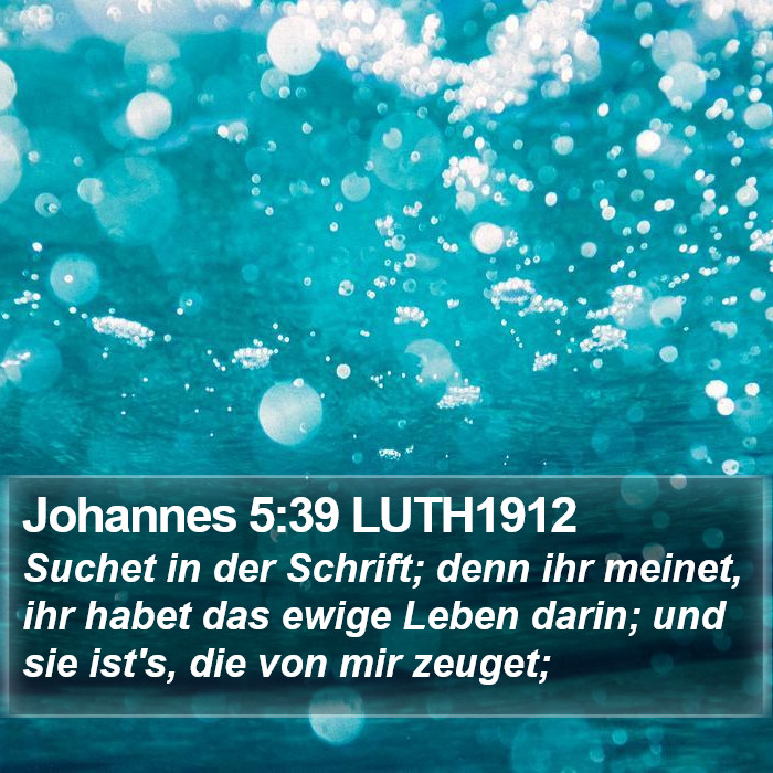 Johannes 5:39 LUTH1912 Bible Study