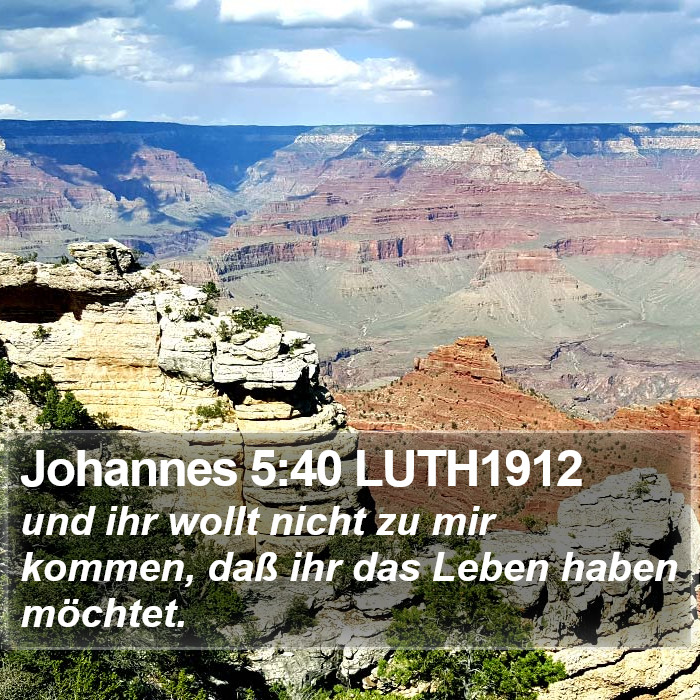 Johannes 5:40 LUTH1912 Bible Study