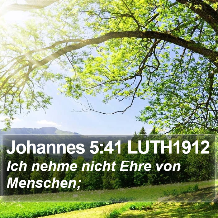 Johannes 5:41 LUTH1912 Bible Study