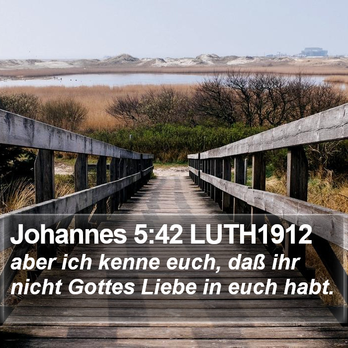 Johannes 5:42 LUTH1912 Bible Study