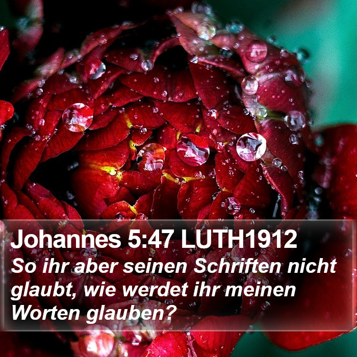 Johannes 5:47 LUTH1912 Bible Study