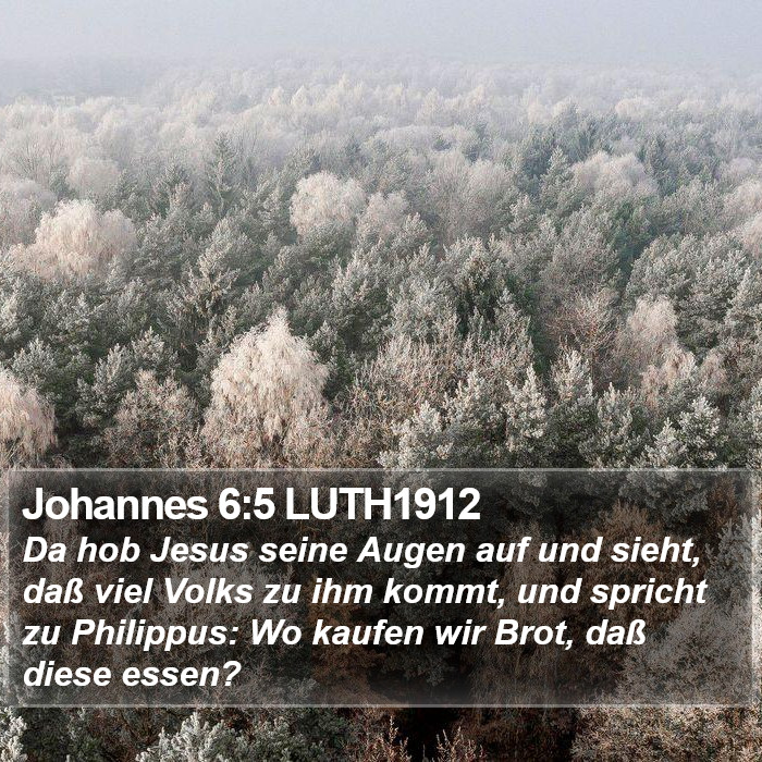 Johannes 6:5 LUTH1912 Bible Study