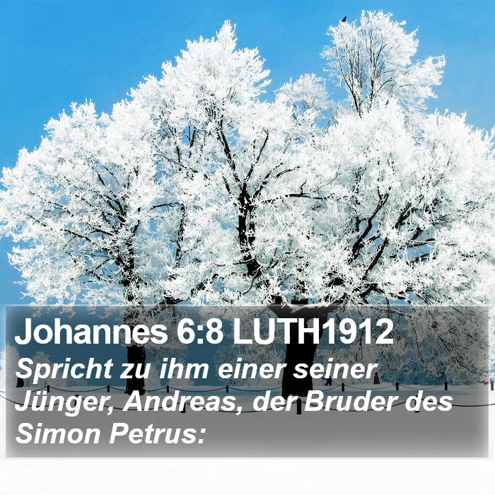 Johannes 6:8 LUTH1912 Bible Study