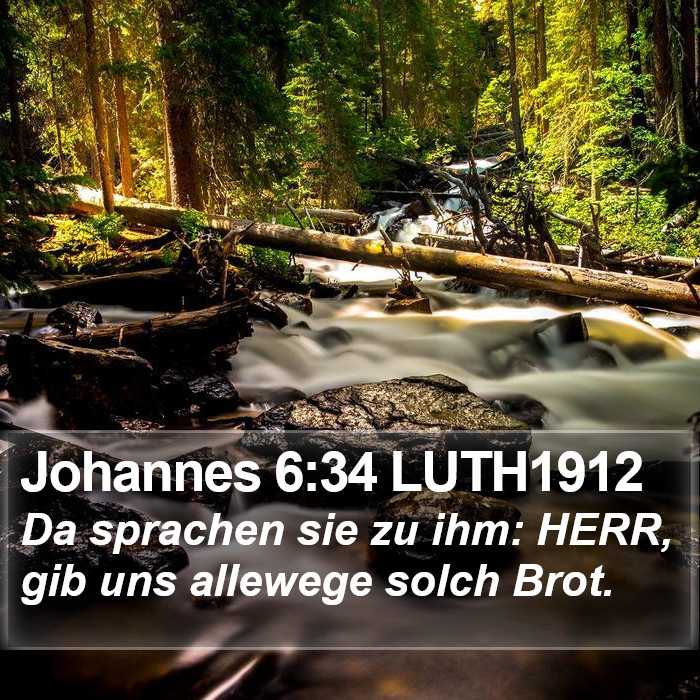 Johannes 6:34 LUTH1912 Bible Study