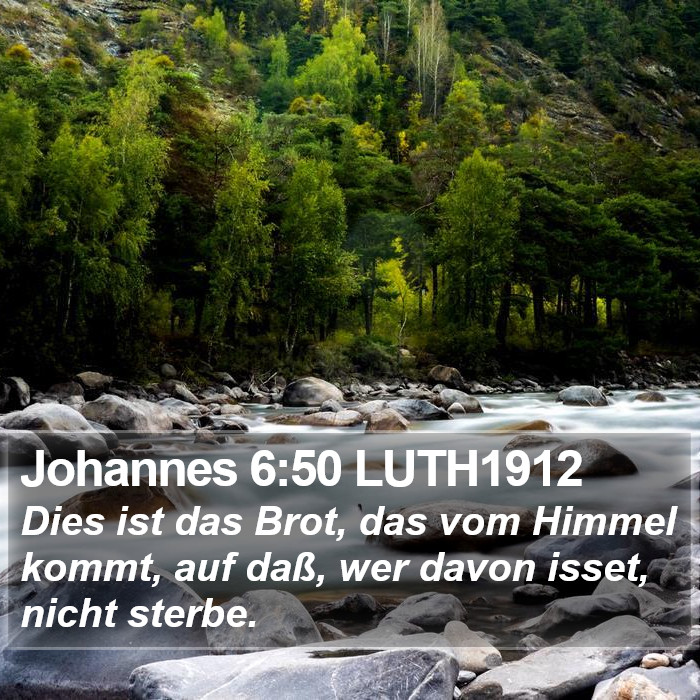 Johannes 6:50 LUTH1912 Bible Study