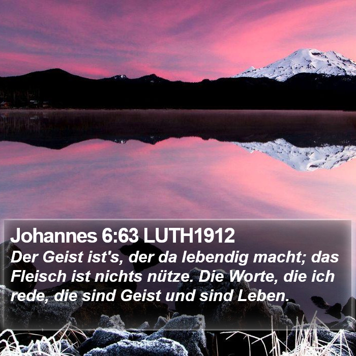 Johannes 6:63 LUTH1912 Bible Study