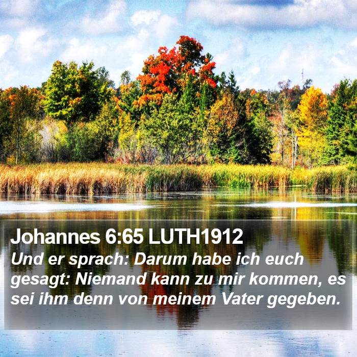 Johannes 6:65 LUTH1912 Bible Study