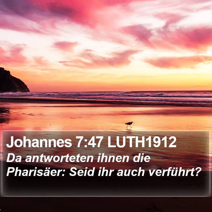 Johannes 7:47 LUTH1912 Bible Study