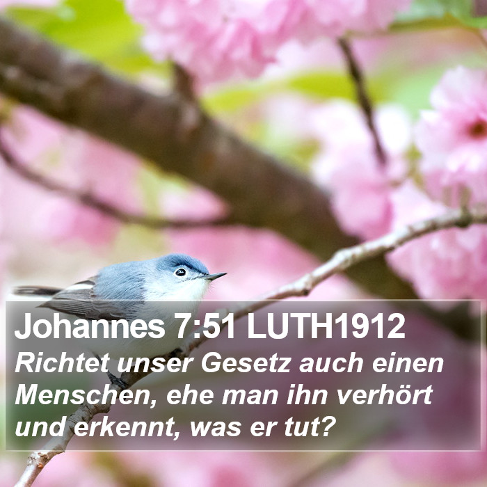Johannes 7:51 LUTH1912 Bible Study