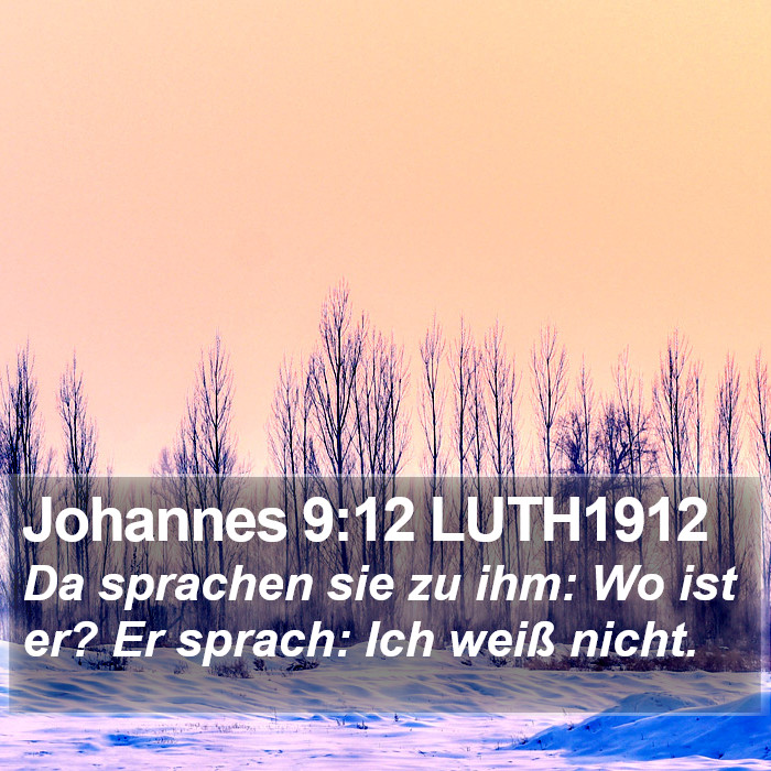Johannes 9:12 LUTH1912 Bible Study