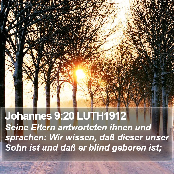 Johannes 9:20 LUTH1912 Bible Study