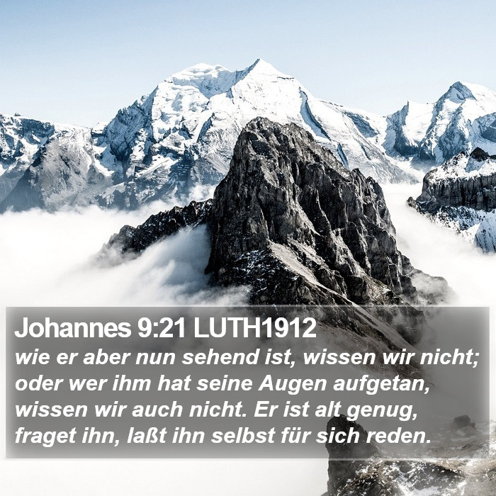 Johannes 9:21 LUTH1912 Bible Study