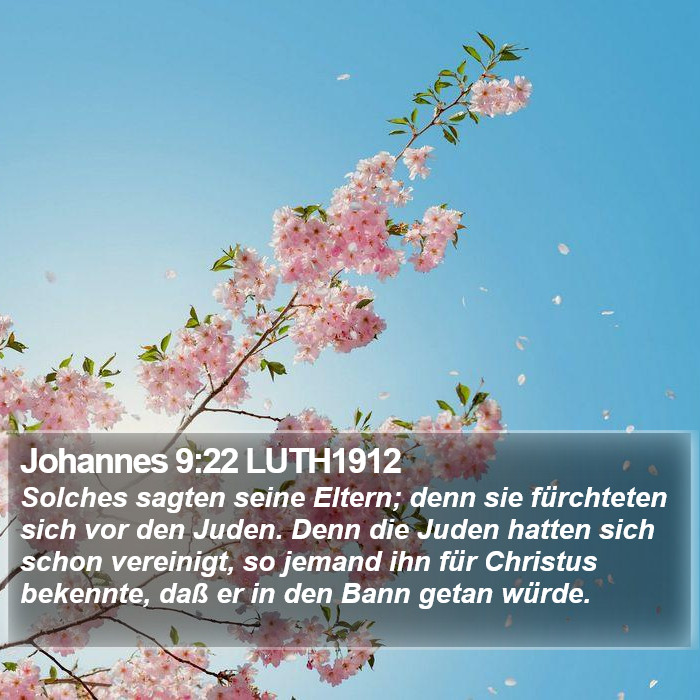 Johannes 9:22 LUTH1912 Bible Study