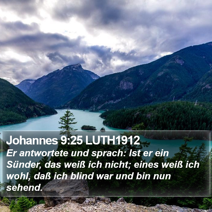 Johannes 9:25 LUTH1912 Bible Study