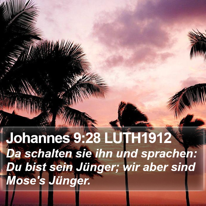Johannes 9:28 LUTH1912 Bible Study